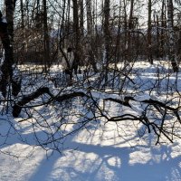 Встреча в Кузьминках :: Анатолий Колосов