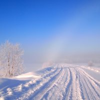 Морозное утро :: ГАЛИНА Баранова