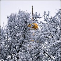 ВЛАДИМИР ПРОВИНЦИАЛЬНЫЙ :: Валерий Викторович РОГАНОВ-АРЫССКИЙ