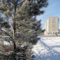 Зима в городе . :: Мила Бовкун