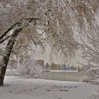 На берегу :: Ольга Винницкая (Olenka)