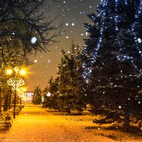 Падал белый снег... :: Игорь Сарапулов