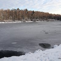 у природы свои законы :: Олег Лукьянов