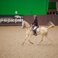 Зимний чемпионат Таганрога по выездке :: Андрей Lyz