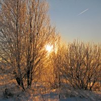 Зима и солнце. :: Oleg S 