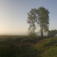 овраг :: Николай Капранов 