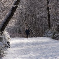 Дама с собачкой. :: Владимир Безбородов