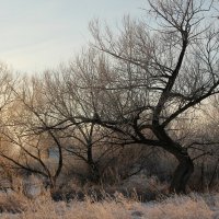 Быстрый Исток. Утро. :: Олег Афанасьевич Сергеев