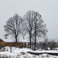 Зима :: ирина лузгина 