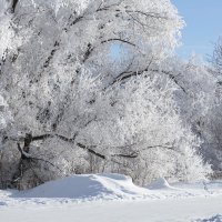 Зима в Оренбуржье :: Наталья Лизогуб