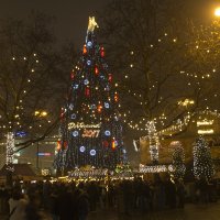 Рождественский рынок: самая большая елка... :: Татьяна Манн