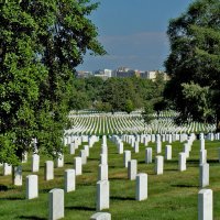 Вашингтон, Арлингтонское кладбище :: Ольга Маркова