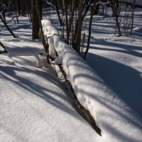 Много снега... :: Владимир Безбородов