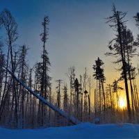 Предпоследний рассвет прошлого года... :: © ГраВИ