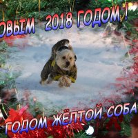 С НОВЫМ ГОДОМ ! :: ВЛАДИМИР 