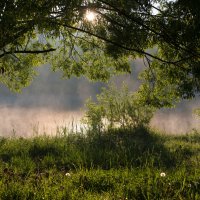 Рано утром. :: Владимир Безбородов