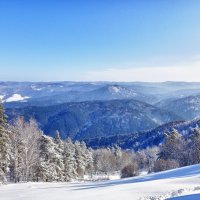 Белокуриха :: Стил Франс