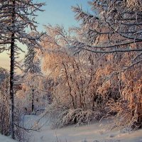 зима :: ГАЛИНА Баранова