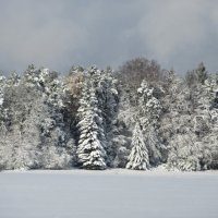 Зимний лес :: Mariya laimite