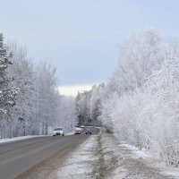 Дорога. :: Наталья 