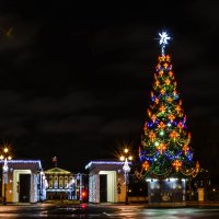 Новогодний Петербург :: Лариса Лунёва