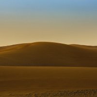 Такая разная пустыня :: Gennadiy Karasev
