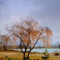 осень у озера :: Александр Прокудин