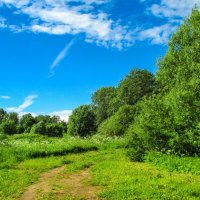 Лето светлое, зелёное; голубые небеса... :: Александр Куканов (Лотошинский)