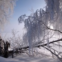 Зимняя одежка :: ГАЛИНА Баранова