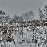 Палитра тонких отношений :: олег свирский 