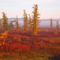 Осень :: ГАЛИНА Баранова