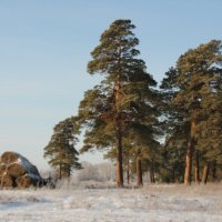 *** :: Олег Афанасьевич Сергеев