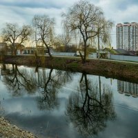 Зима на Кубани... :: Николай Саржанов