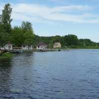 Колтушское озеро :: Елена Павлова (Смолова)