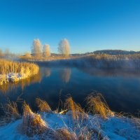 Солнечное утро :: vladimir Bormotov