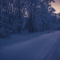 Дорога домой... :: Влад Никишин