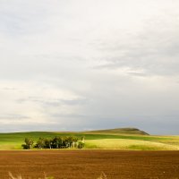 Просторы Хакасии :: Виктория Большагина