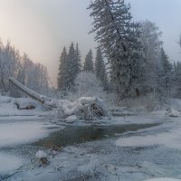 В дебрях Сибири :: Дамир Белоколенко