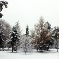 Зимний парк :: раиса Орловская