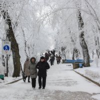 Отдыхающие идут на водопой. :: Леонид Сергиенко