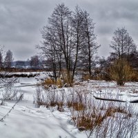 Зима в Дрезна 3 :: Андрей Дворников