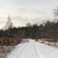 По дорогам Смоленской области :: Милешкин Владимир Алексеевич 