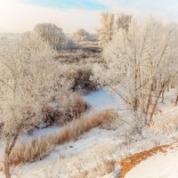 Зимняя зарисовка :: Александр Никишков