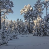 И пусть трещат суровые морозы...) :: Татьяна .