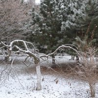 Зима :: Анастасия Фомина
