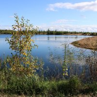 Есть в осени первоначальной... :: Ольга 