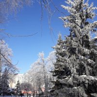 Курский, зимний день :: Galina Belugina