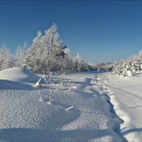 Свежий снег :: Leonid Rutov