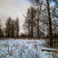 Зима :: Денис Матвеев