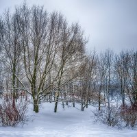 Москва. Коломенское. Январь. :: Игорь Герман